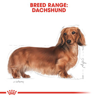 Thumbnail for Breed Health Nutrition Dachshund Adult 1.5 KG