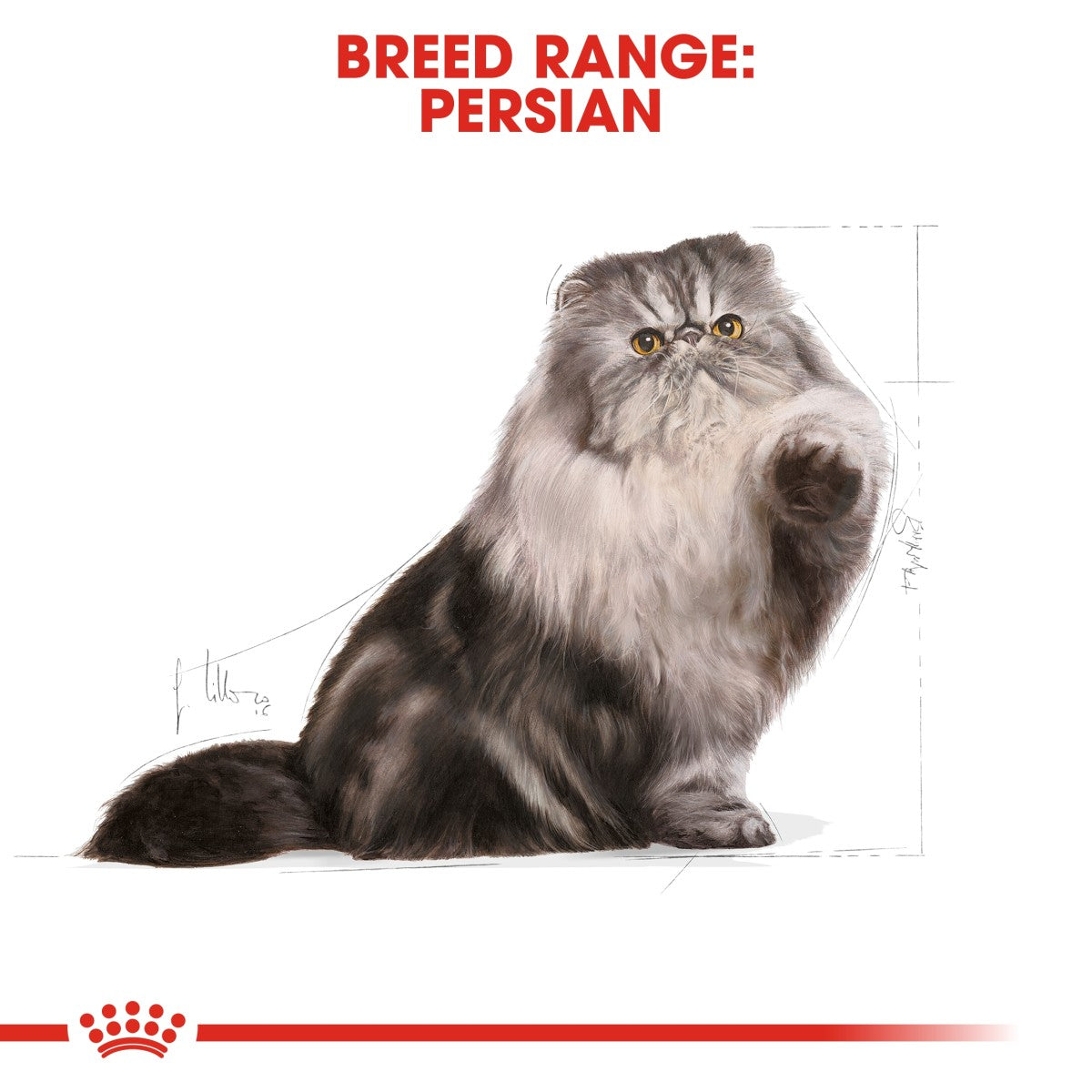 Feline Breed Nutrition Persian Adult 400g