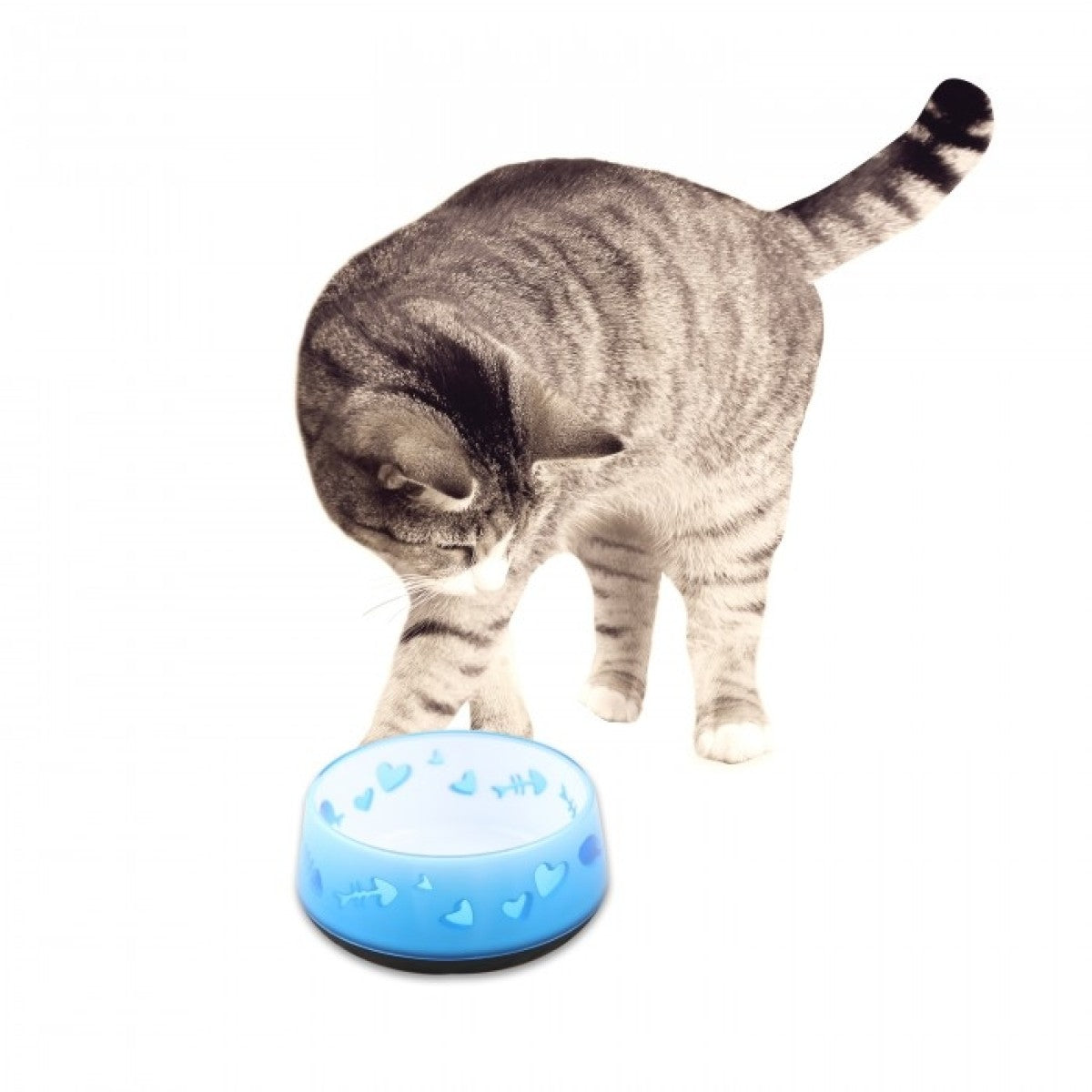 Cat Love Bowl - Blue