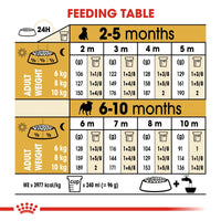 Thumbnail for Breed Health Nutrition Pug Puppy 1.5 KG