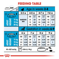 Thumbnail for Size Health Nutrition Medium Starter 4 KG