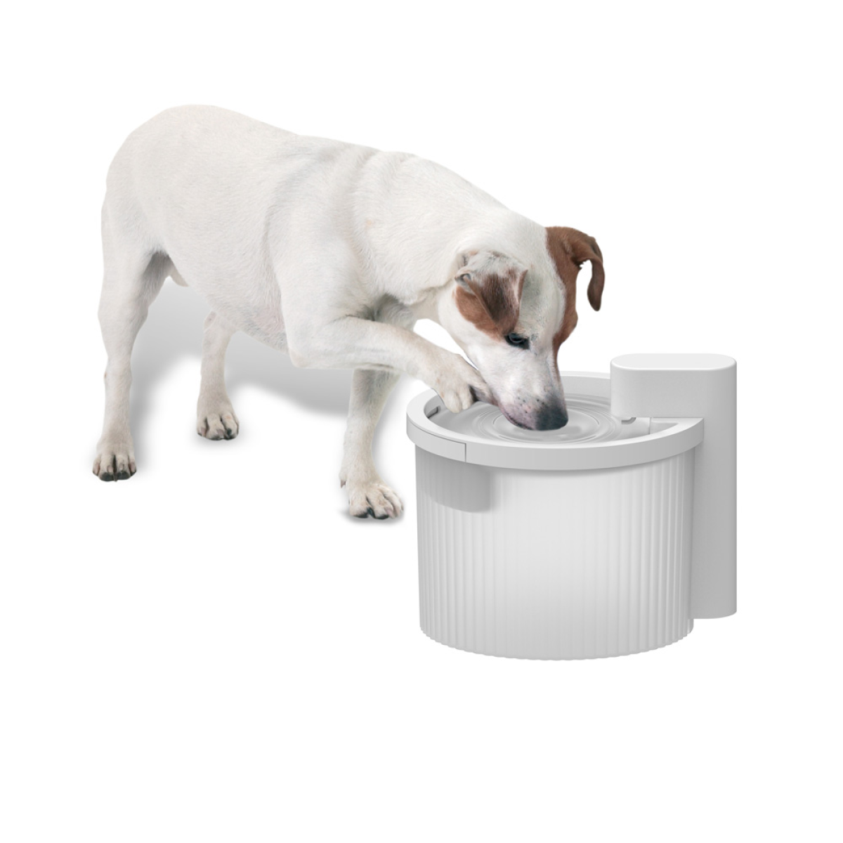 Lifestyle 4 Pets - Wireless Fountain