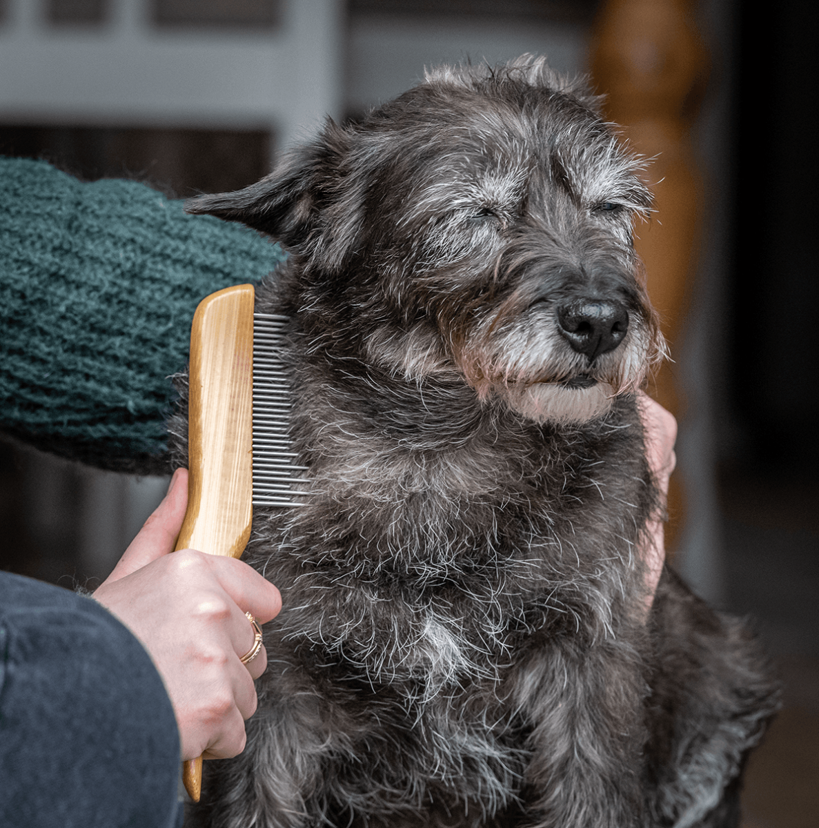 Bamboo Anti-Tangle Comb - Shedding