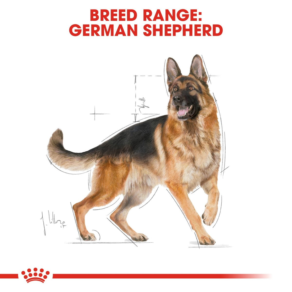 Breed Health Nutrition German Shepherd Adult 3 KG