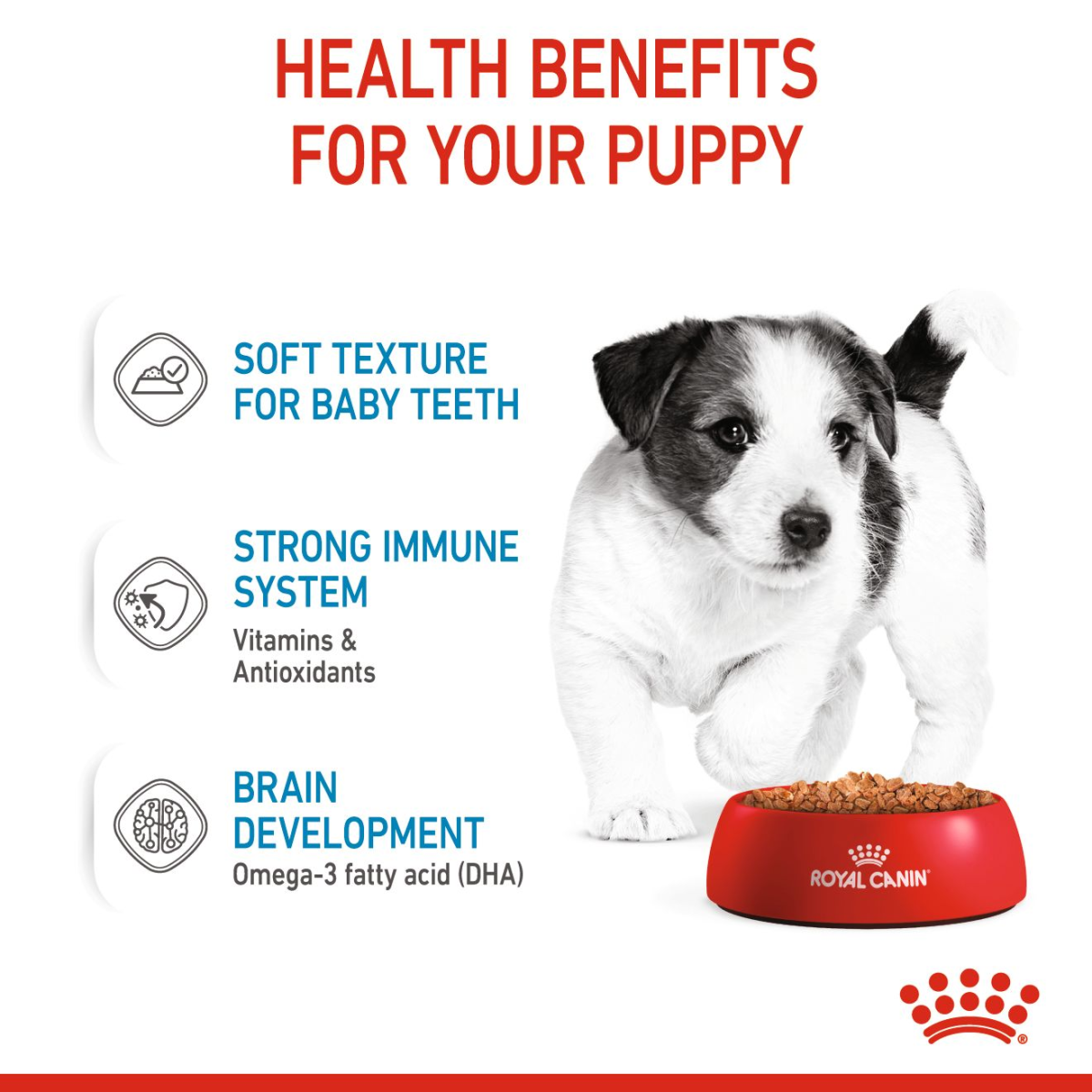 Size Health Nutrition Mini Puppy (WET FOOD - Pouches) 12 x 85g