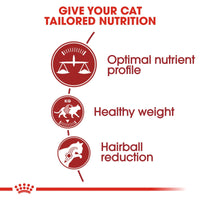 Thumbnail for Feline Health Nutrition Fit 32 - 4 KG