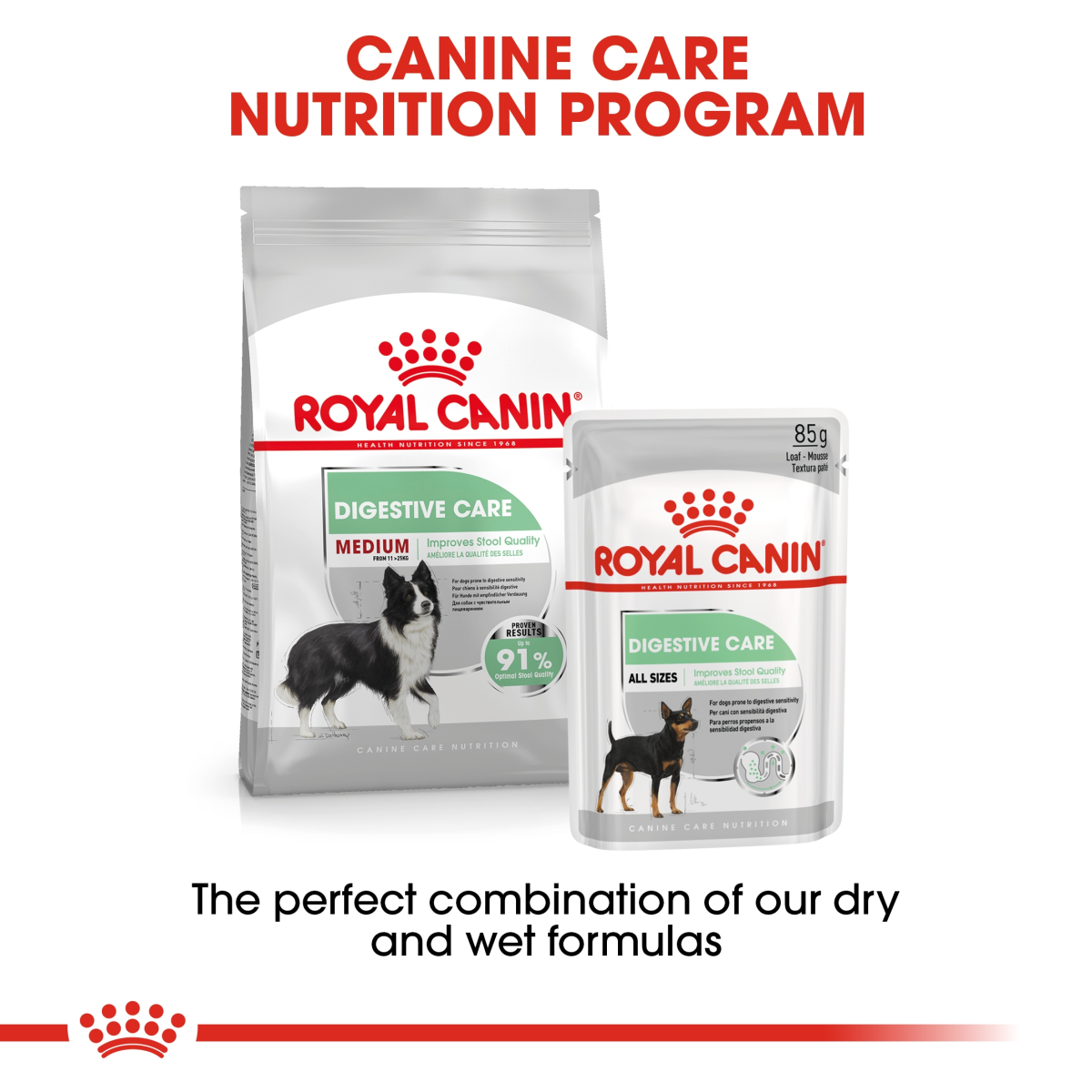 Canine Care Nutrition Medium Digestive Care 12 KG