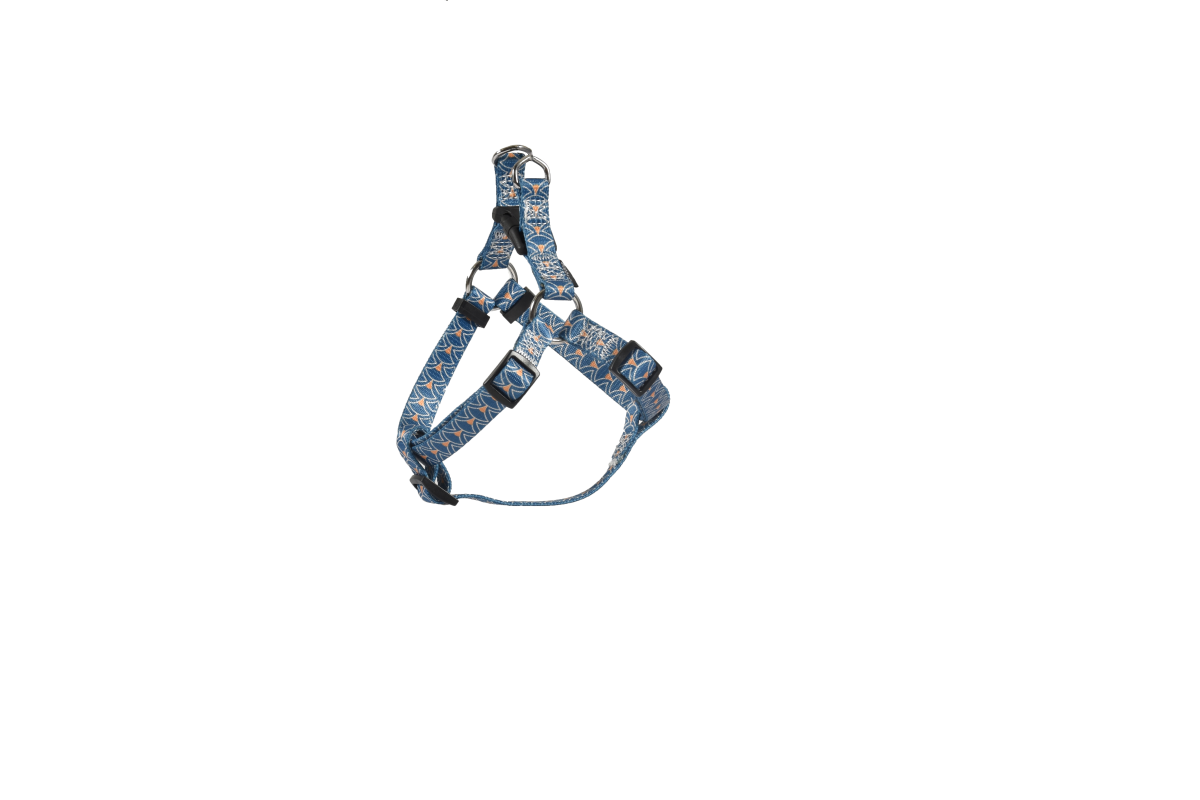 Geisha Baudrier Harness - Blue / Medium