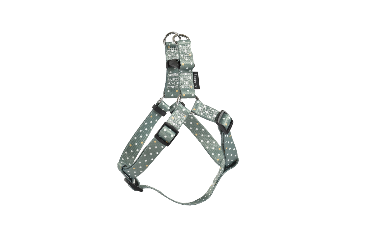 Pretty Boudrier Harness - Green / Medium