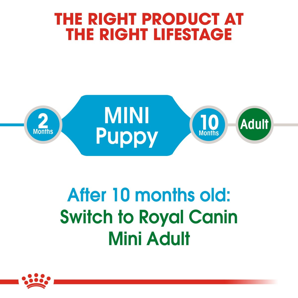 Size Health Nutrition Mini Puppy 2 KG