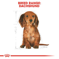 Thumbnail for Breed Health Nutrition Dachshund Puppy 1.5 KG