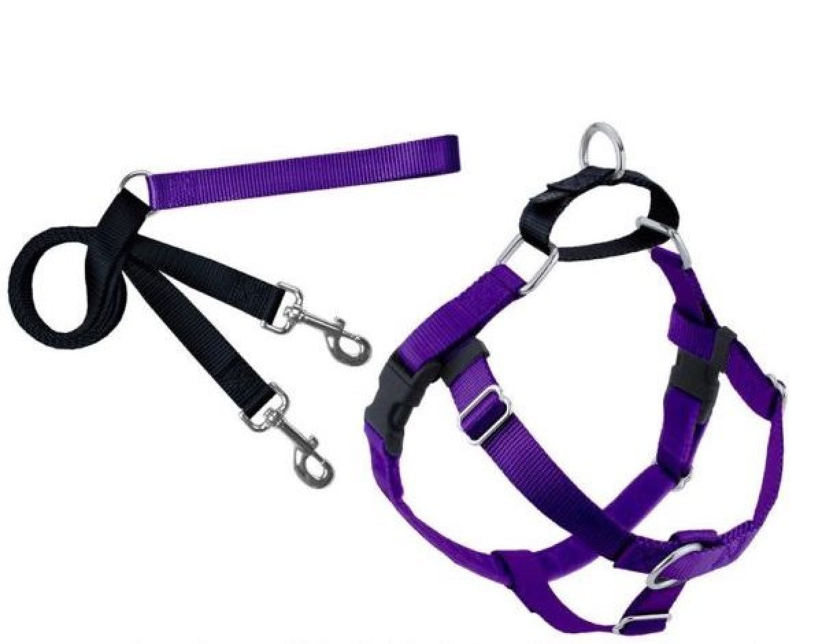 Freedom No-Pull Harness and Leash -  Purple / Medium 1"