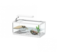 Thumbnail for Tortum Turtle Tank 40 x 20 x 16 cm, White