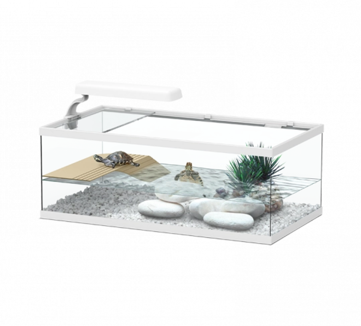 Tortum Turtle Tank 55 x 30 x 20 cm,  White