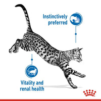 Thumbnail for Feline Health Nutrition Indoor (WET FOOD - Pouches) 12 x 85g