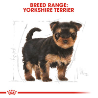 Thumbnail for Breed Health Nutrition Yorkshire Puppy 1.5 KG