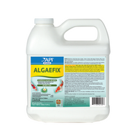 Thumbnail for API POND ALGAEFIX, 64 OZ