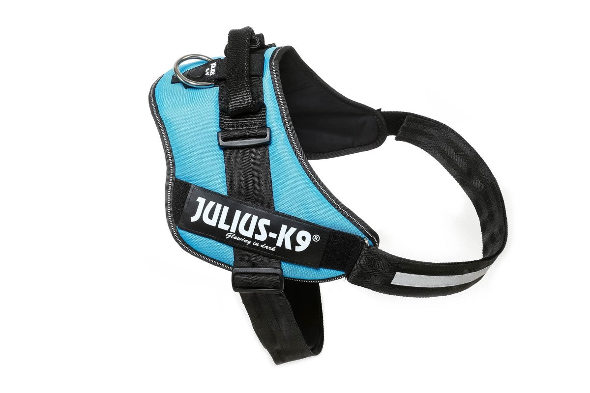 IDC Powerharness - Aquamarine / Size 4