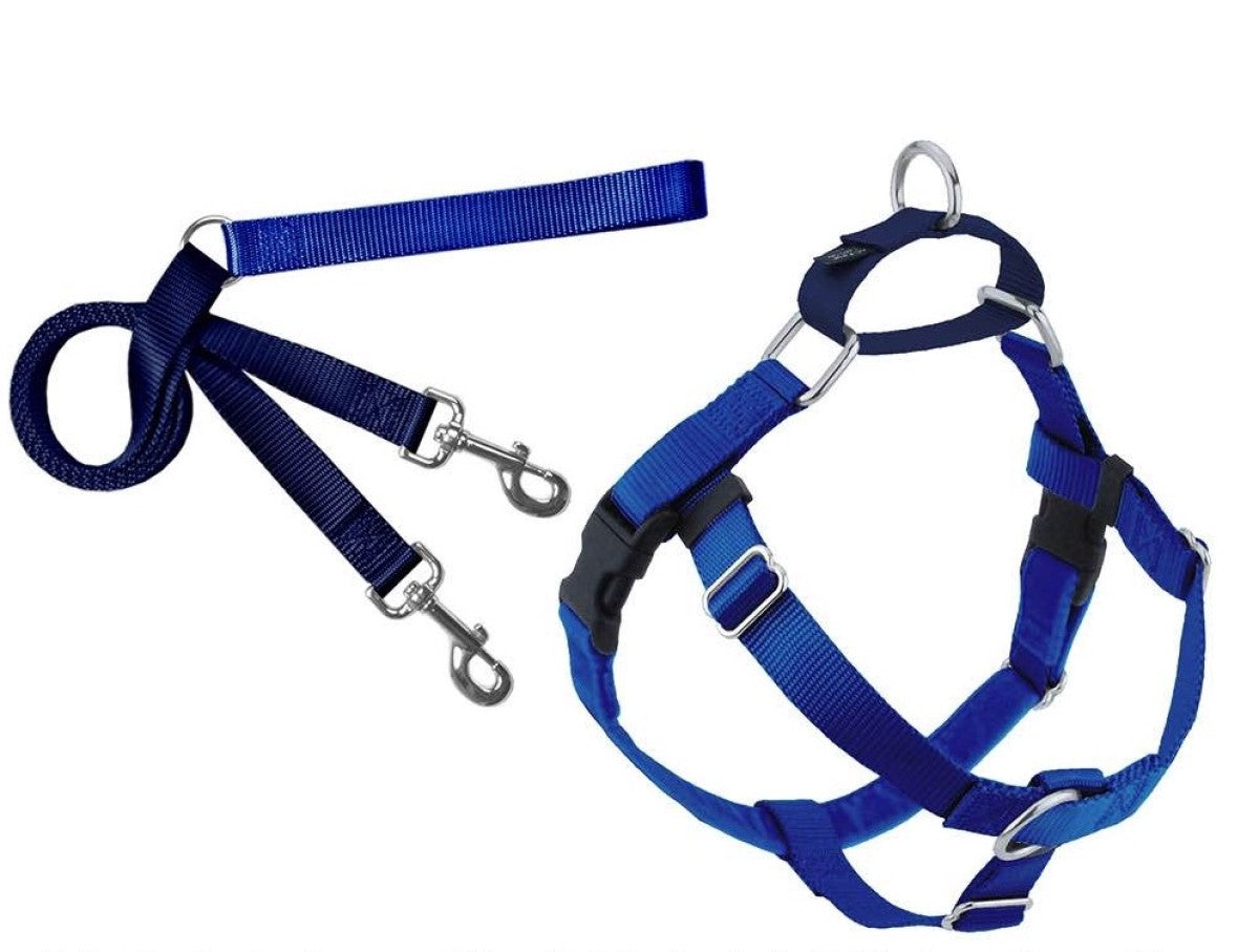 Freedom No-Pull Harness and Leash - Royal Blue / XS 5/8"