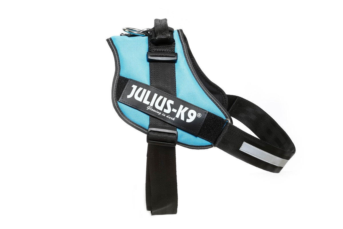 IDC Powerharness - Aquamarine / Size 4