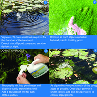 Thumbnail for API POND ALGAEFIX, 64 OZ