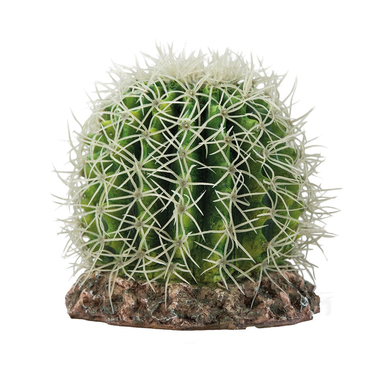 Cactus Sonora M