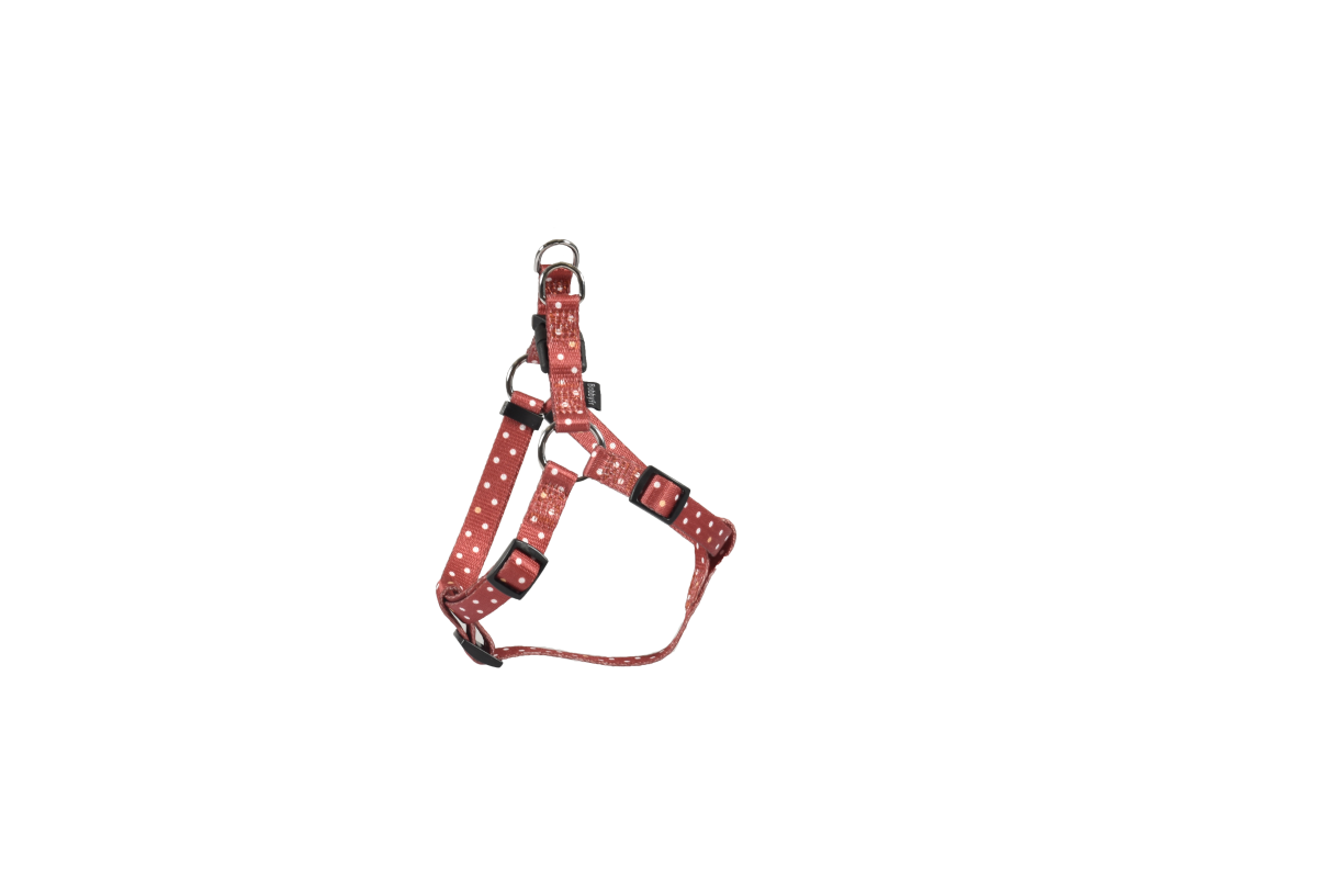 Pretty Boudrier Harness - Brick / Large