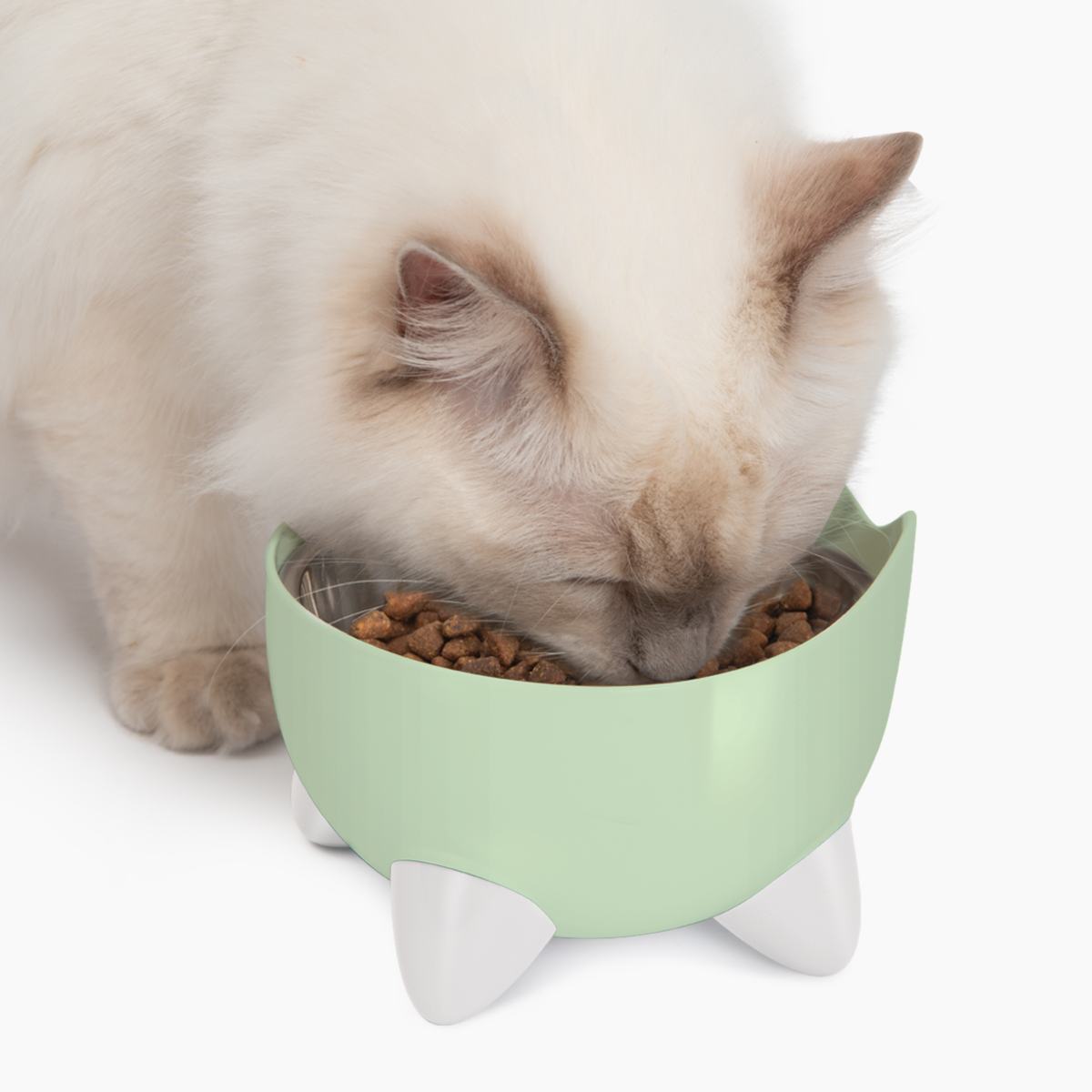 CatIt Pixi Drinking Fountain - Combo pack/Green