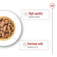 Thumbnail for Size Health Nutrition Medium Adult (WET FOOD - Pouches) 10 x 140g