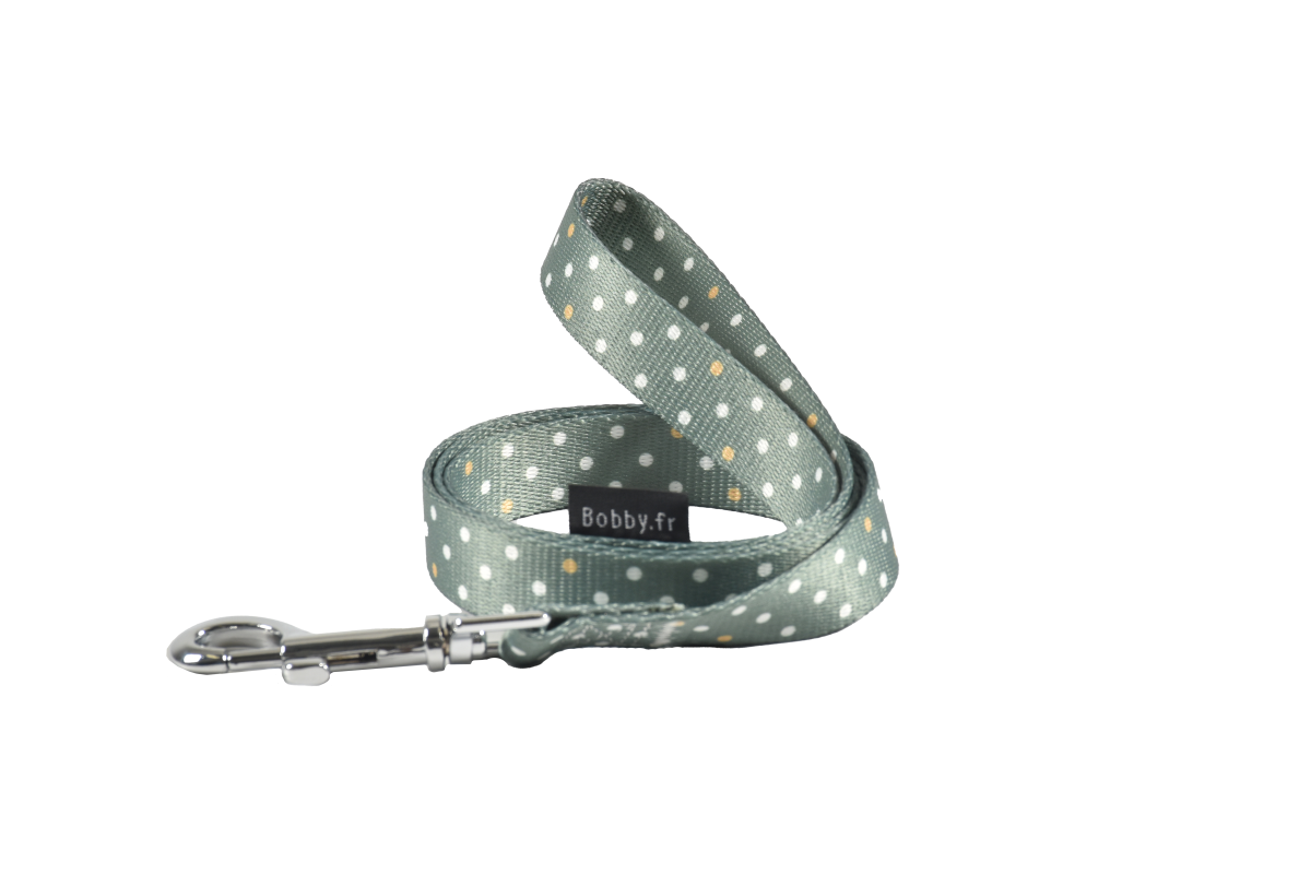 Pretty Leash - Green / Medium