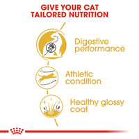 Thumbnail for Feline Breed Nutrition Bengal Adult 2 KG