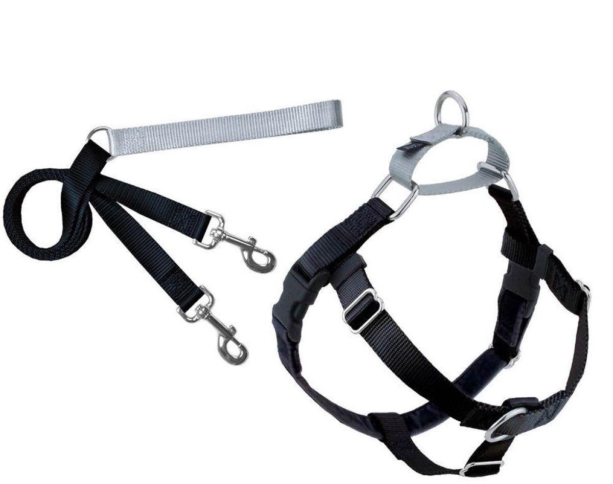 Freedom No-Pull Harness and Leash - Black / Large 1"