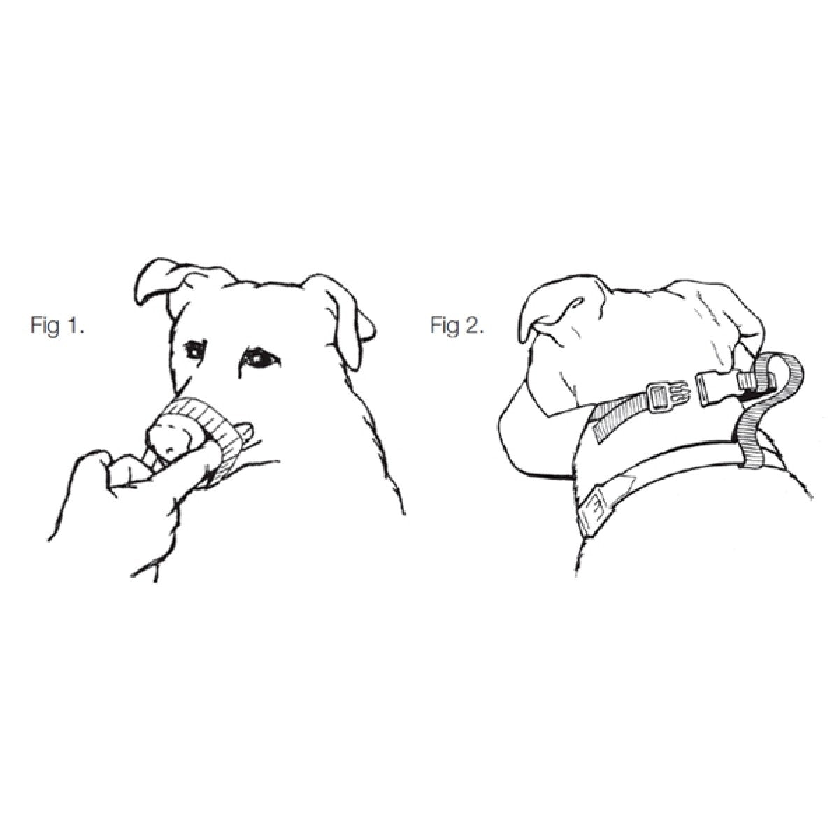 Nylon Dog Muzzle for Boxer Breed