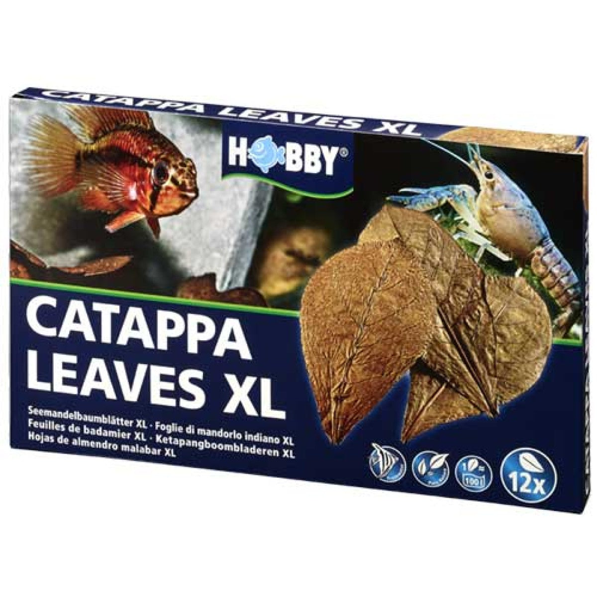 Catappa Leaves XL (12 pcs)