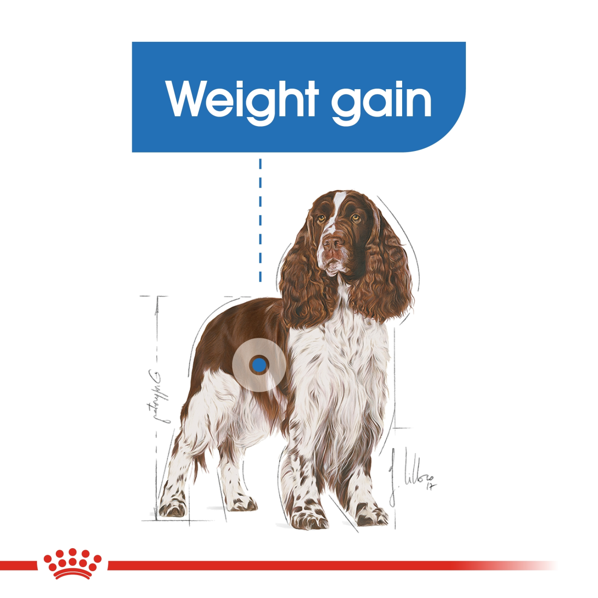 Canine Care Nutrition Medium Light Weight Care 12 KG