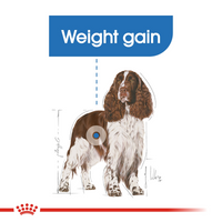 Thumbnail for Canine Care Nutrition Medium Light Weight Care 12 KG