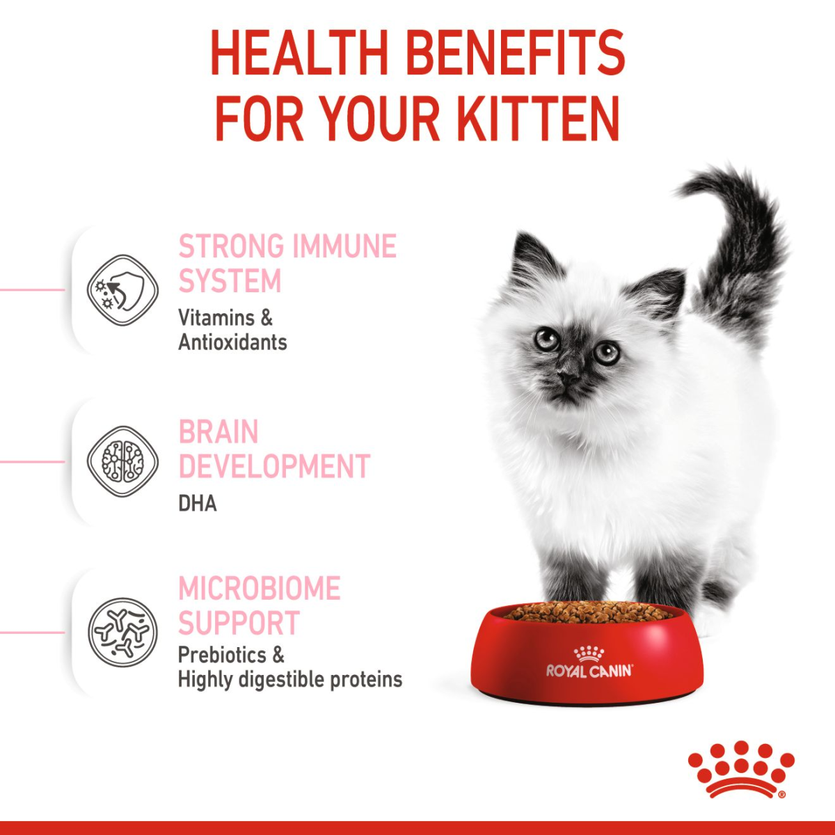 Feline Health Nutrition Kitten 4 KG