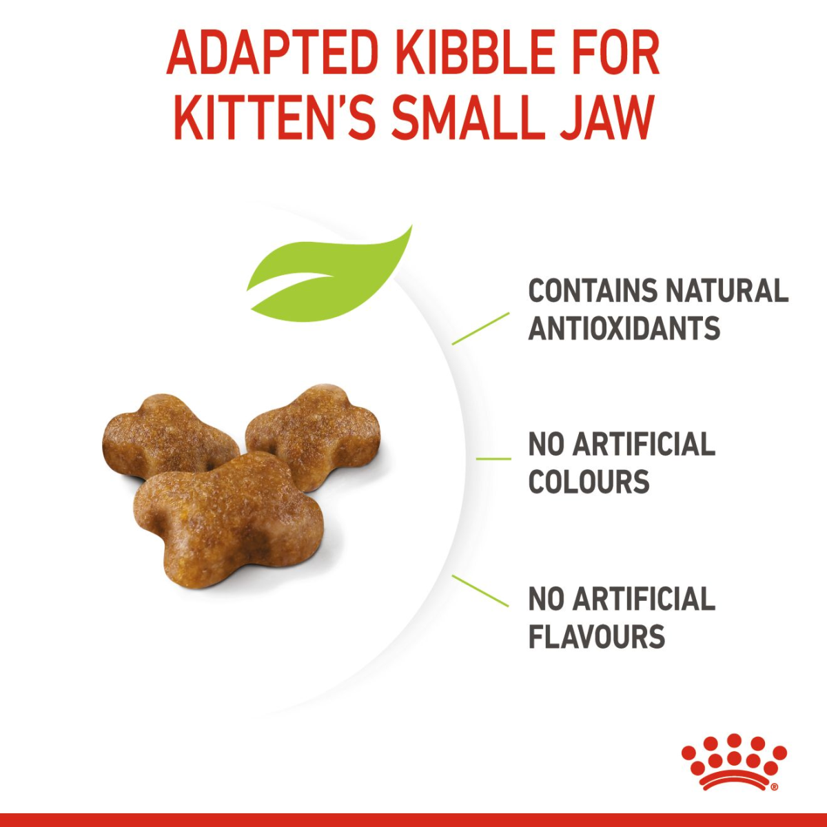 Feline Health Nutrition Kitten 4 KG