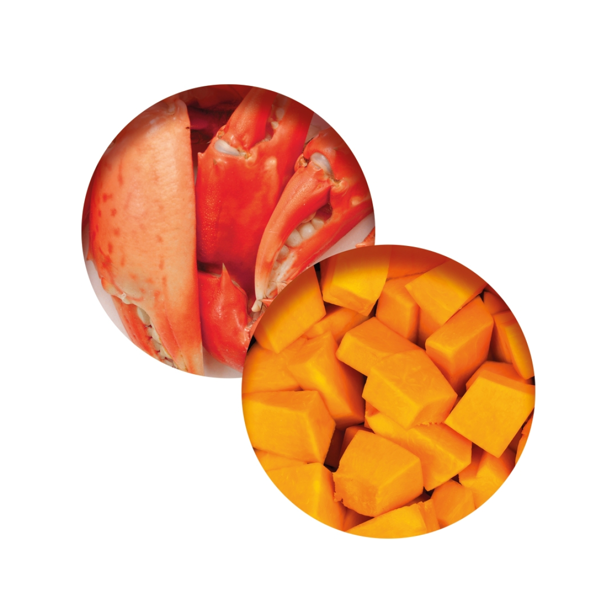 Catit Fish Dinner, Crab Flavour & Pumpkin 80 g, 6pcs/box