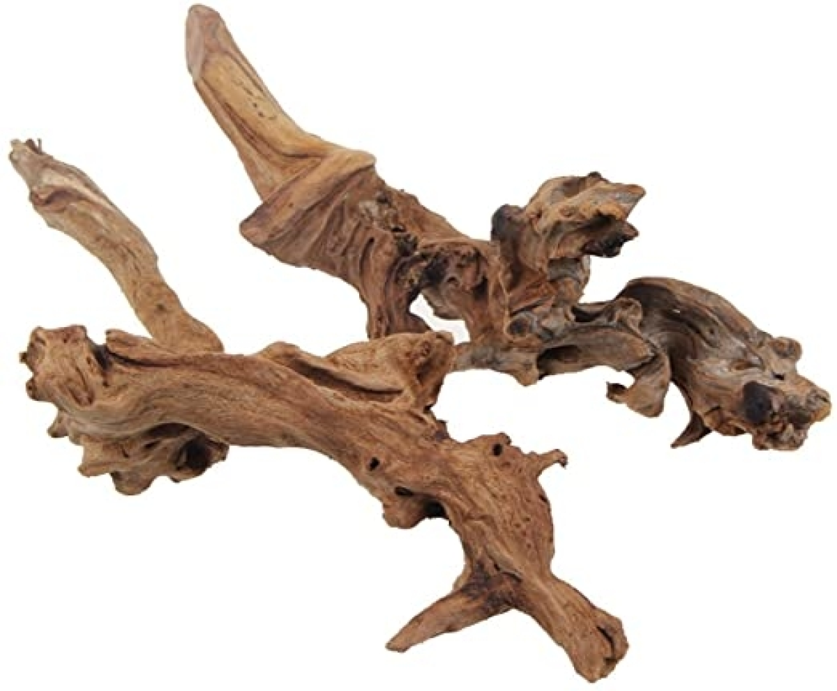 Drift Wood - Large / 41-50cm / Box