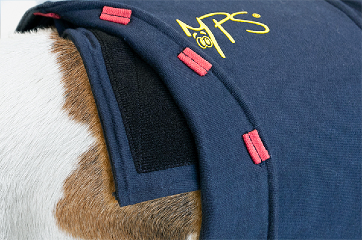 MPS Top Shirt 4-in-1 for Dog - 2 Extra Small