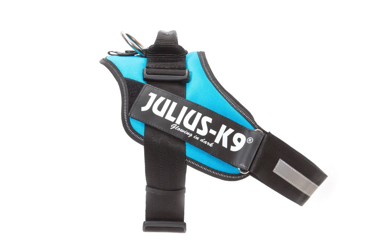 IDC Powerharness - Aquamarine / Size 1