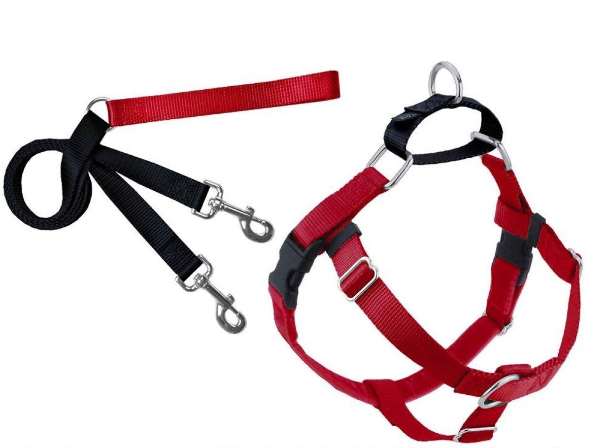 Freedom No-Pull Harness and Leash - Red / XL 1"