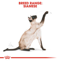 Thumbnail for Feline Breed Nutrition Siamese Adult 2 KG