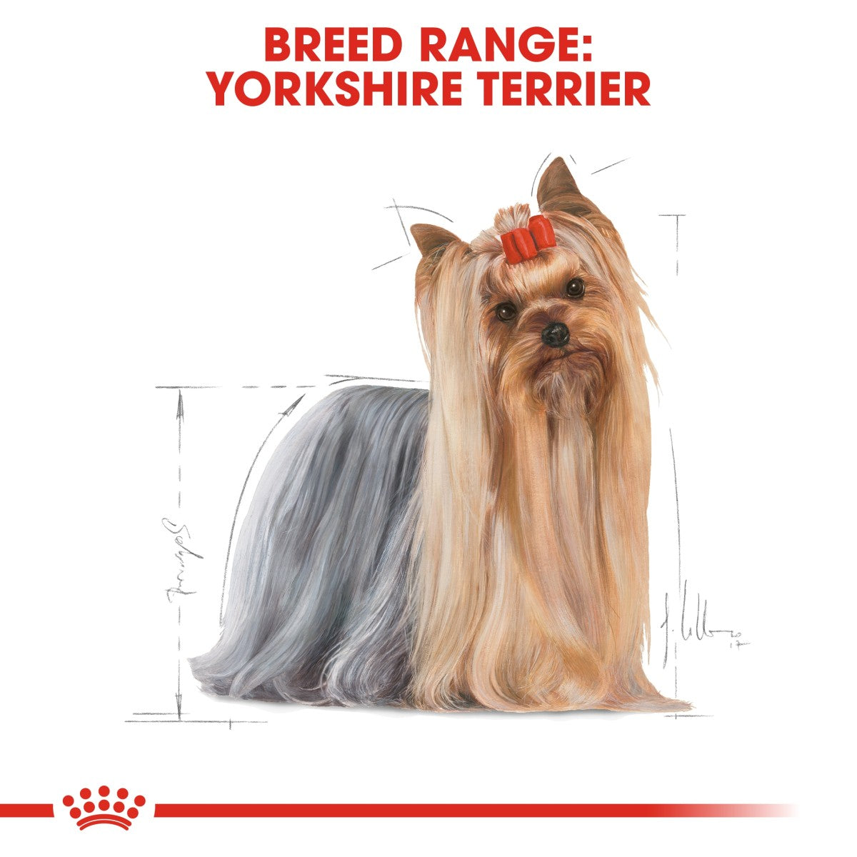 Breed Health Nutrition Yorkshire Adult 1.5 KG