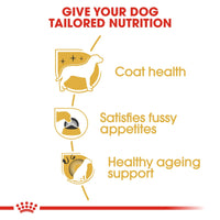 Thumbnail for Breed Health Nutrition Yorkshire Adult 1.5 KG