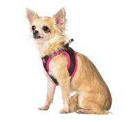 Thumbnail for Arlequin Mini Harness - Brown / 3XS