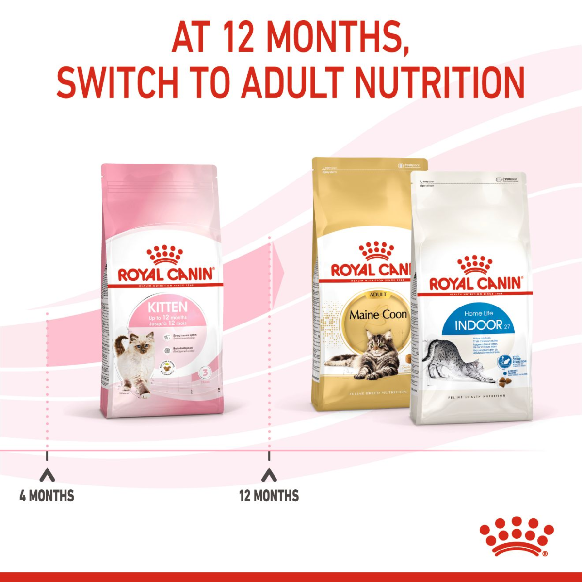 Feline Health Nutrition Kitten 4 KG