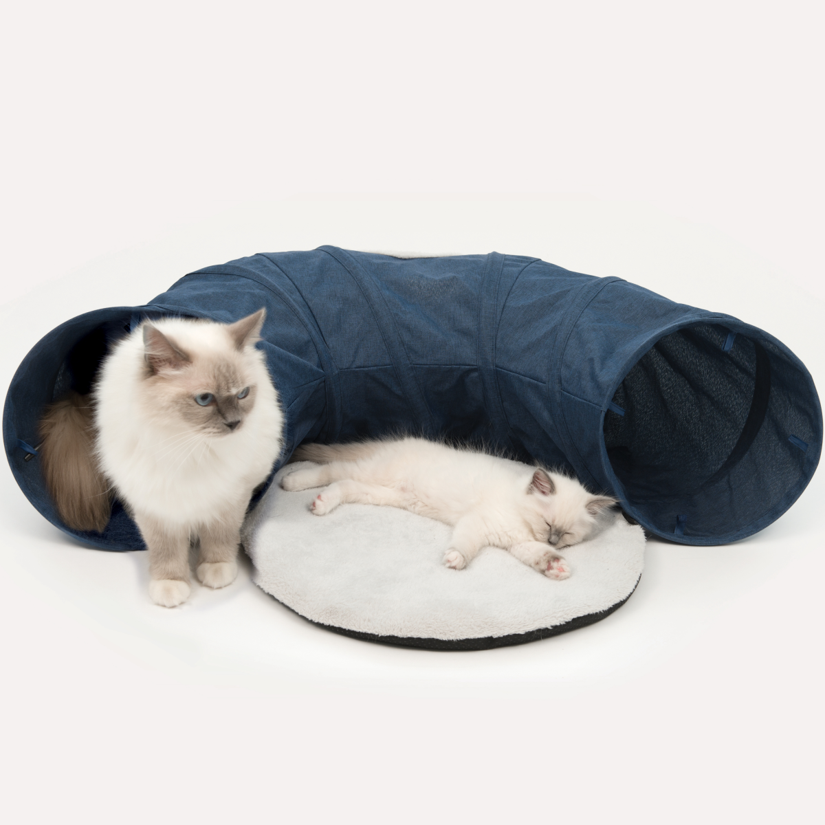 Catit Vesper Tunnel - Blue