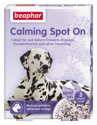 Thumbnail for Calming Spot on Dog